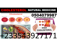 NATURAL TREATMENT FOR HIGH BLOOD CHOLESTEROL - 2