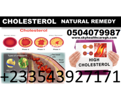 NATURAL TREATMENT FOR HIGH BLOOD CHOLESTEROL - 3