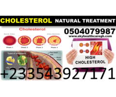 NATURAL TREATMENT FOR HIGH BLOOD CHOLESTEROL - 4