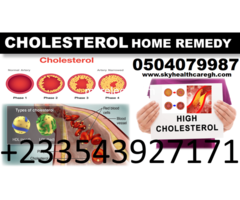 NATURAL TREATMENT FOR HIGH BLOOD CHOLESTEROL - 5