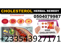 Natural Solution for High Blood Cholesterol - 3