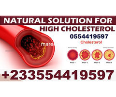 FOREVER LIVING PRODUCTS FOR HIGH CHOLESTEROL - 3