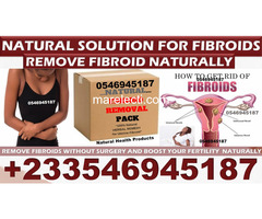 NATURAL TREATMENT FOR FIBROIDS | SOLUTION FOR FIBROID 0504652243 - 2