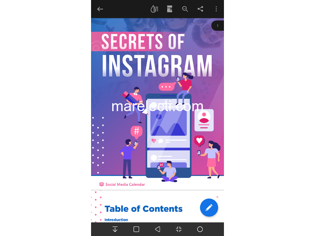 Bonus Secrets of Instagram Advertising - 1/1