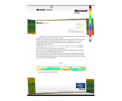 Windows 10 pro licenses - 2