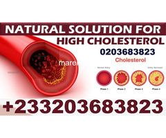 FOREVER LIVING PRODUCT FOR HIGH CHOLESTEROL