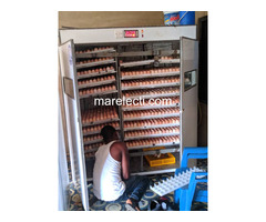 10560 capacity eggs incubators - 3