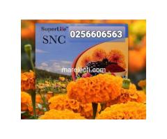 SNC (Superlife Neuron Care) - 3