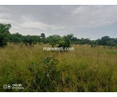 Farmland For Sale in Ho - 200x200ft