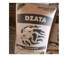 Dzata Cement - 2
