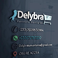 Delybra ken Ventures