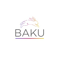 BAKU SOLUTIONS