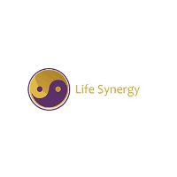 Life Synergy Retreat
