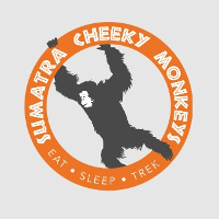 Sumatra cheeky monkeys