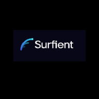Surfient