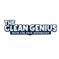 The Clean Genius