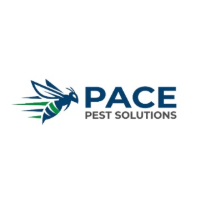 pacepestsolutions
