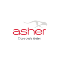 Asher Strategies