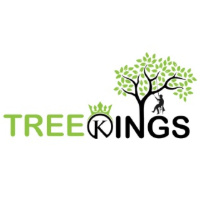 Tree Kings