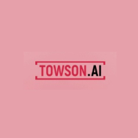Towson Nederland BV