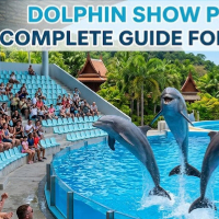 Dolphin Show Pattaya