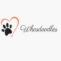 WhosDoodles